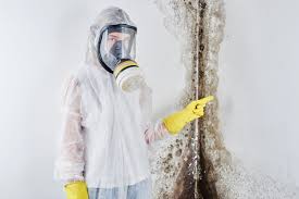 Mold Removal for HVAC Installations in West Mifflin, PA